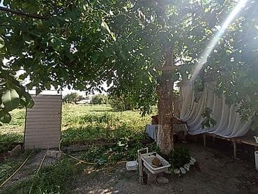 20 хутор кыргызстан: 🏡✨ ПРОДАЁТСЯ БОЛЬШОЙ УЮТНЫЙ ДОМ С ДВУМЯ ЖИЛЫМИ ДОМАМИ НА УЧАСТКЕ! ✨🏡 📍 — 8
