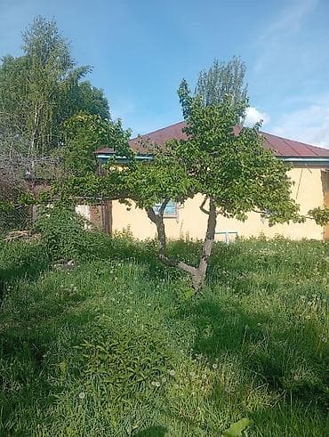 домик на дачу: Продаётся частный дом с двором и хозяйственным блоком. Дом находится — 3