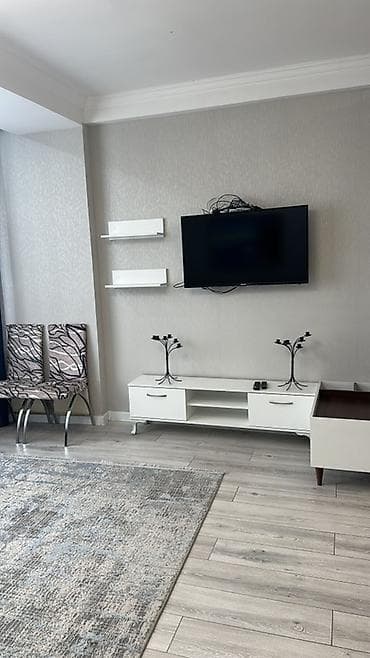 Батирлер: 2 бөлмө, Менчик ээси, Чогуу жашоосу жок, Толугу менен эмереги бар — 4