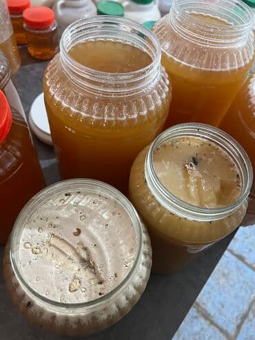 временная: Всем доброго времени суток! Продаем мёд высшего качества с гор — 2