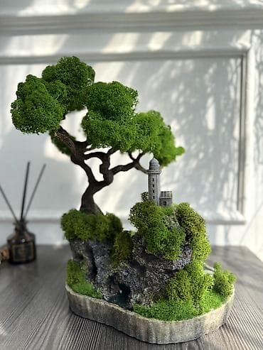 string art: Деревья-бонсай из натурального стабилизированного мха🌳 -это — 1
