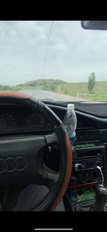 велтмейстер авто: Audi 100: 1988 г., 1.8 л, Механика, Бензин, Седан — 7