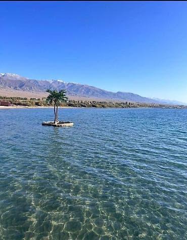 Ысык-Көлдө эс алуу: Коттедж, Palm Beach, Чок-Тал, 6 орун — 4