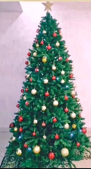 ель голубая цена: Продаю Елку!В отличном состоянии,пользовались все 1 год! Высота — 1