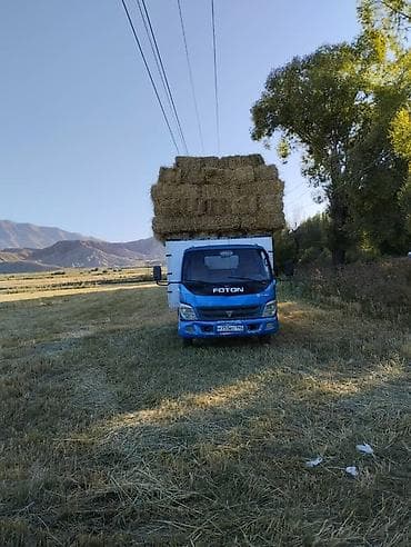 Срочно Foton сатылат 4.0 турбина 2002 Российский учет болгону учун — 4