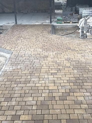 3 sfe: Уклатка бручатка — 6