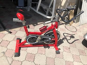 Полупрофессиональный велотренажер 🟥 Последний, поэтому очень дёшево В at lalafo.kg Полупрофессиональный велотренажер 🟥 Последний, поэтому очень дёшево В