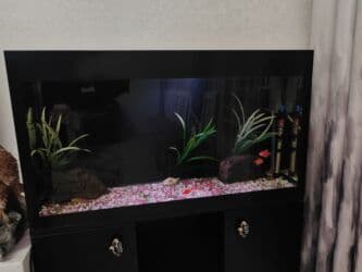 аквариум для дома: Продаю аквариум 120литров. Самовывоз из ак орго — 2