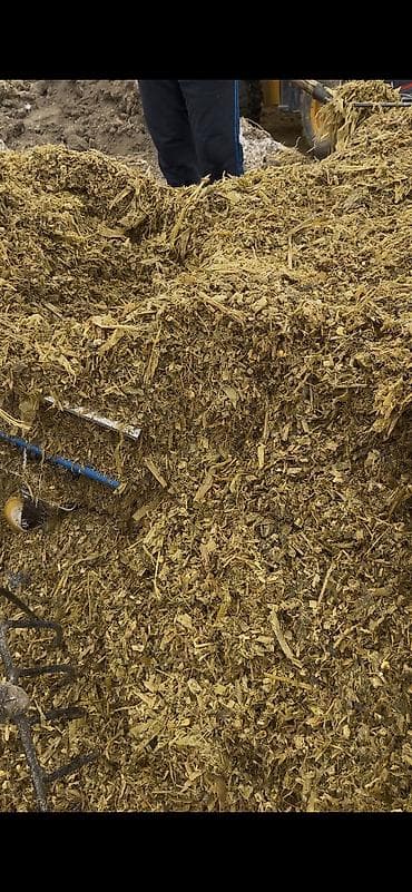 уй сатылат бишкек 2022: Кукурузный силос в индивидуальных рулонах Адрес Город Кемин село Жол — 7