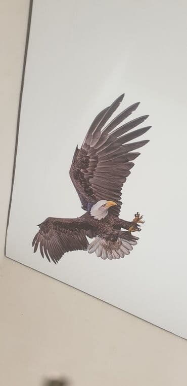 надувной матрас бишкек цена: Натяжной потолок Глянцевое, 3D потолки, Матовое — 8