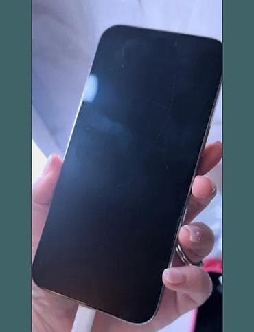 баа: IPhone 15 Pro Max, Колдонулган, 256 ГБ, Natural Titanium, Заряддоочу түзүлүш, Коргоочу айнек, Каптама, 87 % — 4