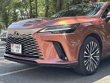 step 2: Lexus RX: 2023 г., 2.4 л, Автомат, Бензин, Кроссовер — 5