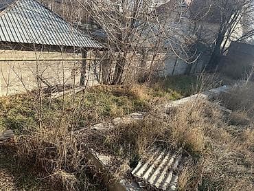 Жер тилкелери: 5 соток, Кызыл китеп — 8
