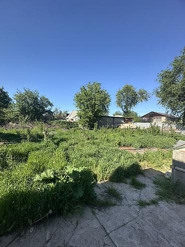 Жер тилкелери: 11 соток, Бизнес үчүн, Кызыл китеп, Техпаспорт, Сатып алуу-сатуу келишими — 1