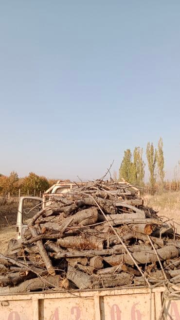 навес из дерева: Отун Өзү алып кетүү — 7