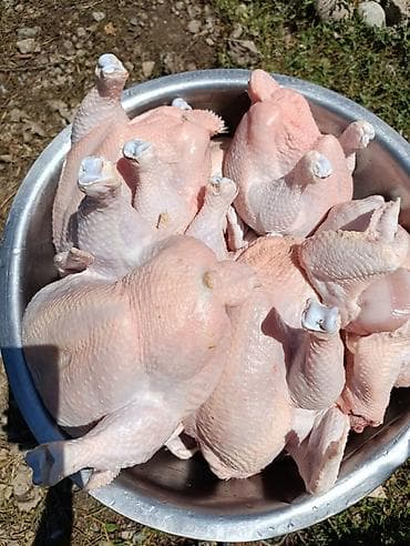 Продукты питания: Здрастуйте друзя Продаю мясо курицы(бройлерный) по 300 сом за 1 кг — 4