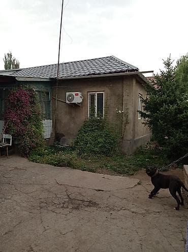 дача су: Дом, 60 м², 4 комнаты, Собственник, Косметический ремонт — 3