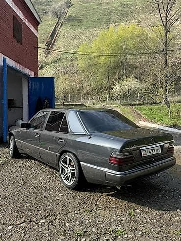 bid e5: Mercedes-Benz W124: 1993 г., 4.2 л, Седан — 5