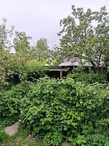 Продаю пол дома. Улица Гагарина пересекает Чапаева. Участок 3 сотки — 4