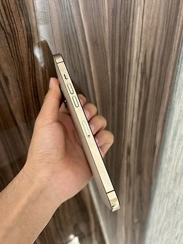 iphone 12 pro max цена ош: IPhone 12 Pro Max, Б/у, 128 ГБ, Золотой, Защитное стекло, Чехол, 84 % — 3