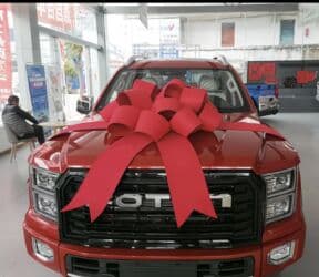 милицейские формы: Праздничный бант на капот автомобиля - Большой декоративный бант — 1