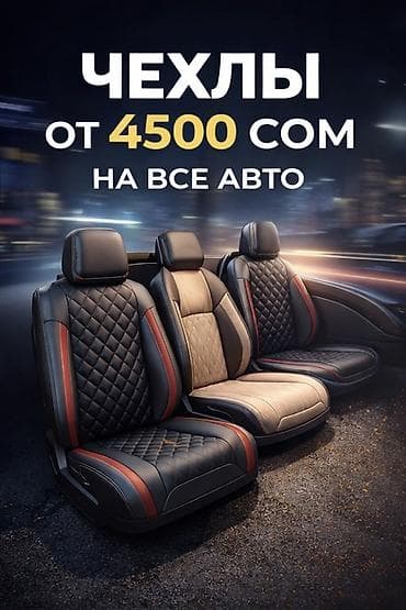 Аксессуары и тюнинг: Чехлы — 1