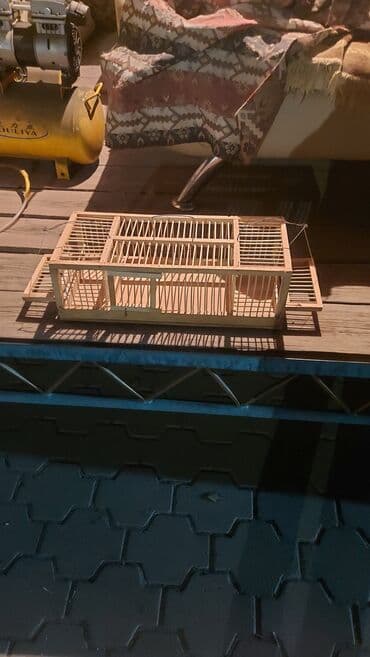 Грызуны: 1500 сом — 1