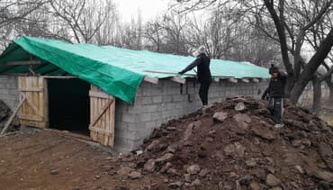 купить саженцы роз в бишкеке: Тент-бул полиэтилен токулган курулуш чатырларынын жаңы бренди. Заказ — 1