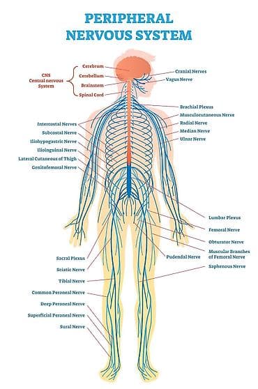 samsung galaxy g6: Врачи | Невролог | Консультация — 2