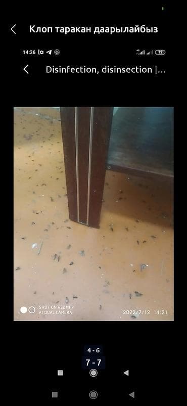 сколько стоит дезинфекция: Дезинфекция дезинфекция дезинфекция дезинфекция дезинфекция Таракан — 4