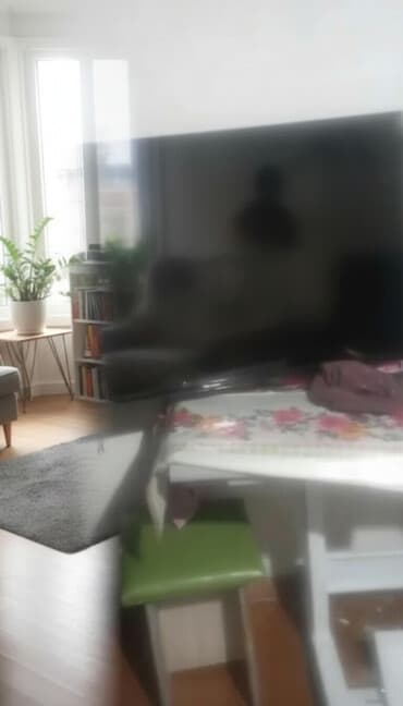 gps для лошадей: Телевизоры — 1