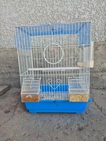 Иттер: Просторная клетка для птиц, выполненная из комбинации синего и белого — 3