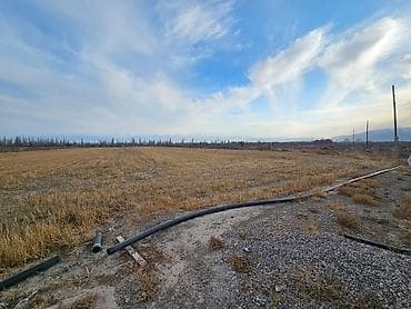 земля багара: 150 соток, Для сельского хозяйства — 4