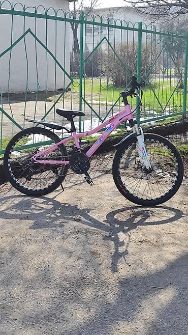 Детский велосипед, 2-колесный, 9 - 13 лет, Для девочки