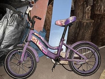 Детский велосипед, 2-колесный, 4 - 6 лет, Для девочки