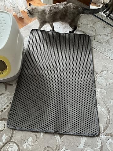 black cat: Лоток закрытый с дверцей, и коврик. Все новое. Цена 1200 сом — 6