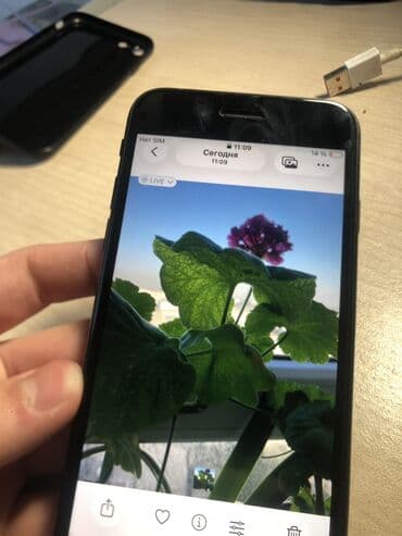 купить айфон 5 se бу: IPhone SE 2020, Б/у, 64 ГБ, Черный, Защитное стекло, Чехол, 80 % — 7