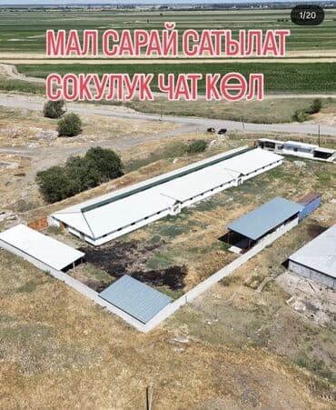 ноокат дом: Сатам Кой короо, 45 соток, Иштеп жаткан — 1
