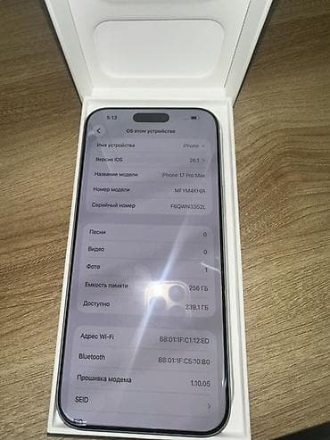 iphone 16 max: IPhone 17 Pro Max, Б/у, 256 ГБ, Серебристый, Коробка, 100 % — 6