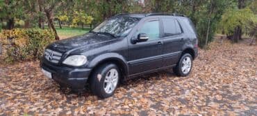 Шкафы для трансформатора: Mercedes-Benz M-Class: 1998 г., 3.2 л, Автомат, Бензин, Кроссовер — 4