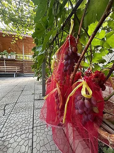 Үйлөр: Продаётся 2 дома с земельным участком 17 соток. Начало Новопокровки — 7