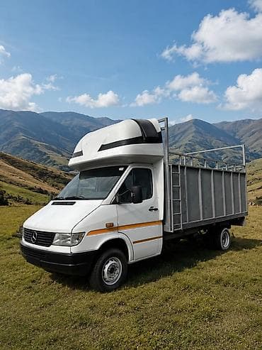 эшка чоп чапкыч: Грузовик, Mercedes-Benz, Стандарт, Б/у — 1