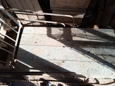 бесплатные велосипеды: Хорошие сани можно ослика запрагать — 3