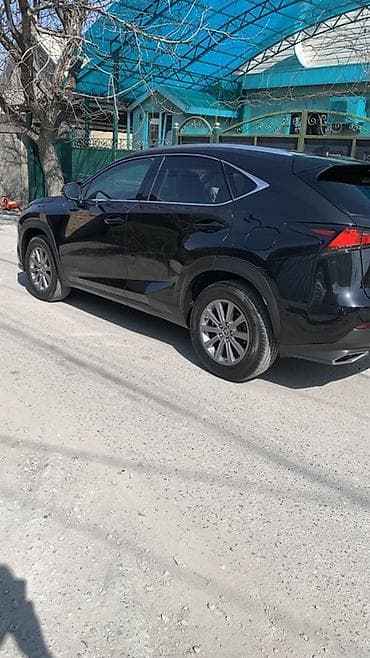 lc 300: Lexus NX: 2019 г., 2 л, Автомат, Бензин, Кроссовер — 5
