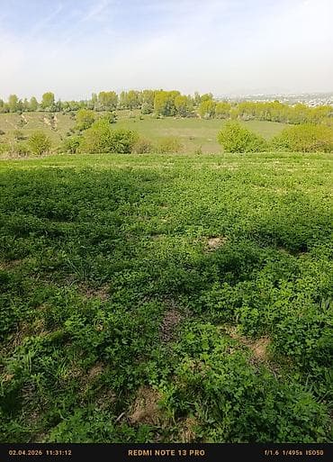 17 соток, Для сельского хозяйства, Договор купли-продажи, Генеральная доверенность