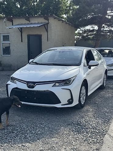 хендай терракан 2.9 дизель двигатель: Toyota Corolla: 2021 г., 1.8 л, Вариатор, Гибрид, Седан — 2