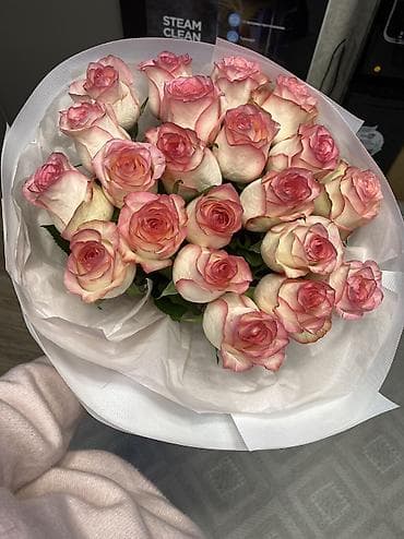 Ёлки: Букет из нежно-розовых роз с белоснежным обрамлением - Состав — 3