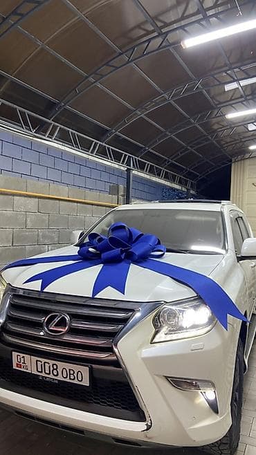 цена на лук в бишкеке: 🚘АКЦИЯ — всего 700 сом/сутки! Подходит на любую машину Предлагаем — 3