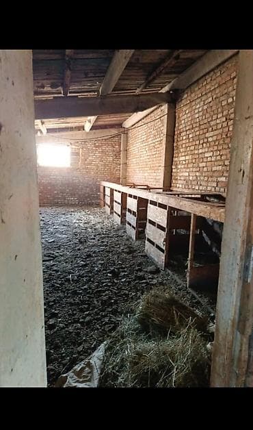 барахолка сокулук: Кошара, 120 соток — 2