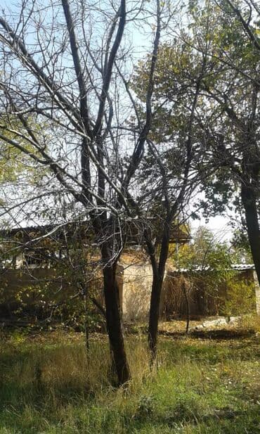 печь для отопления дома бишкек: Отун Карагач — 3